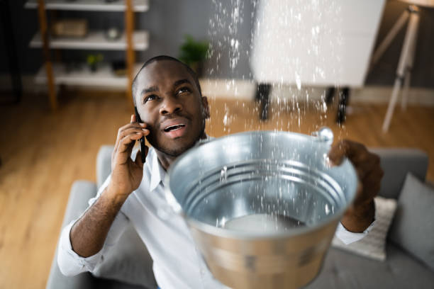 Best Residential water damage restoration  in Leupp, AZ