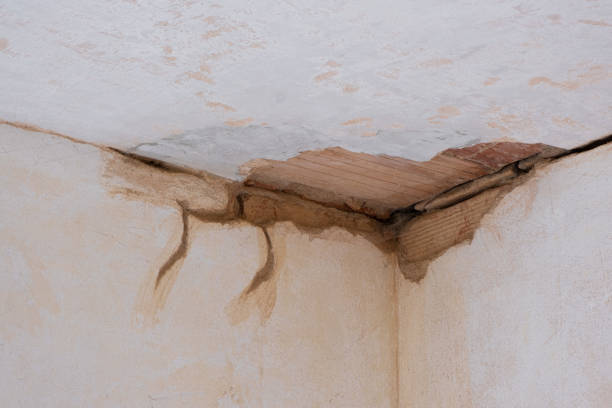 Sewage cleanup and water damage restoration in AZ